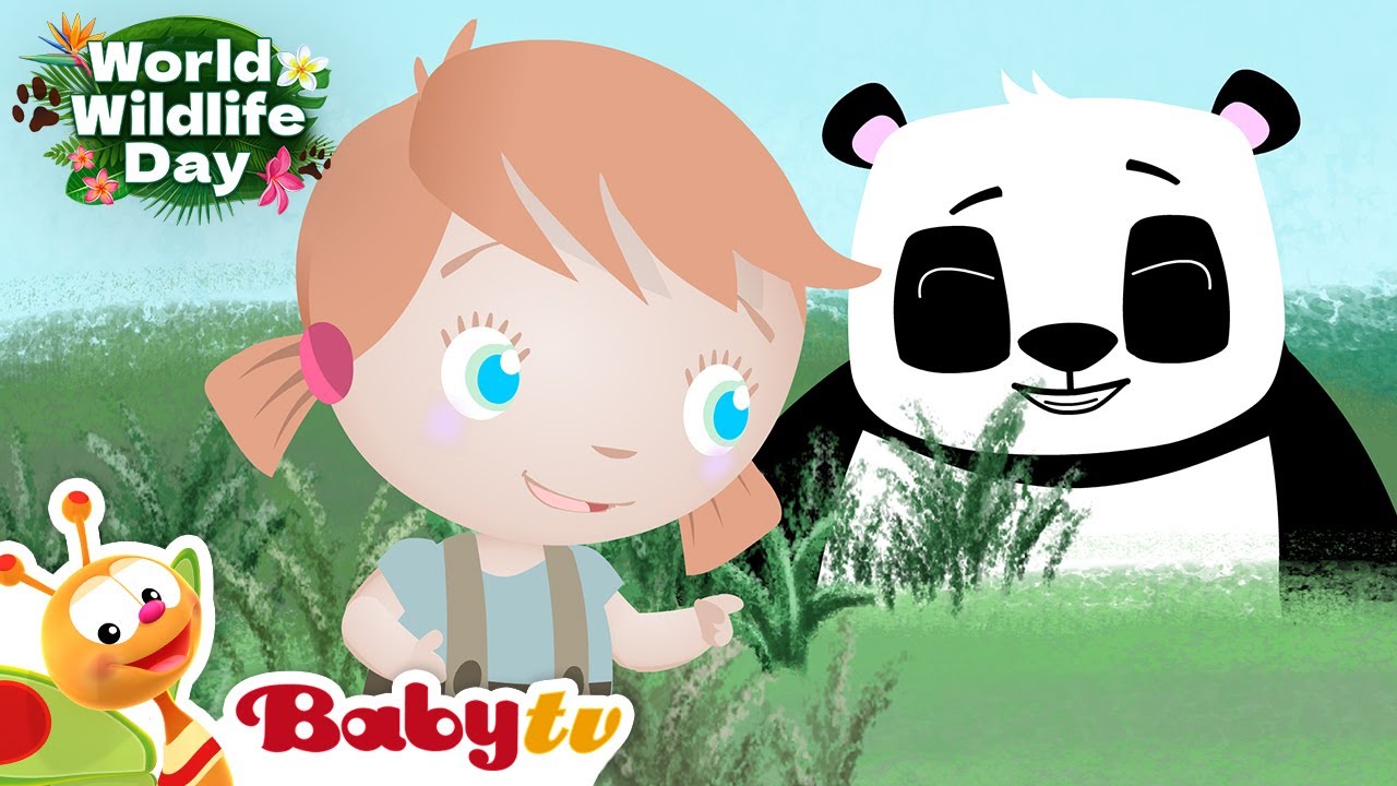 Dzikie zwierzęta dla dzieci 🐼 🦁  | Żyrafa, panda i lew | Światowy Dzień Dzikiej Przyrody  @BabyTVPL