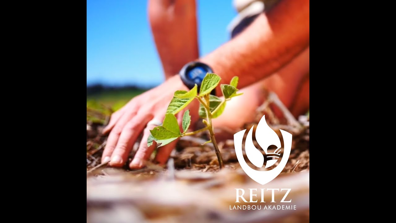 Conservation Agriculture at Reitz Landbou Akademie