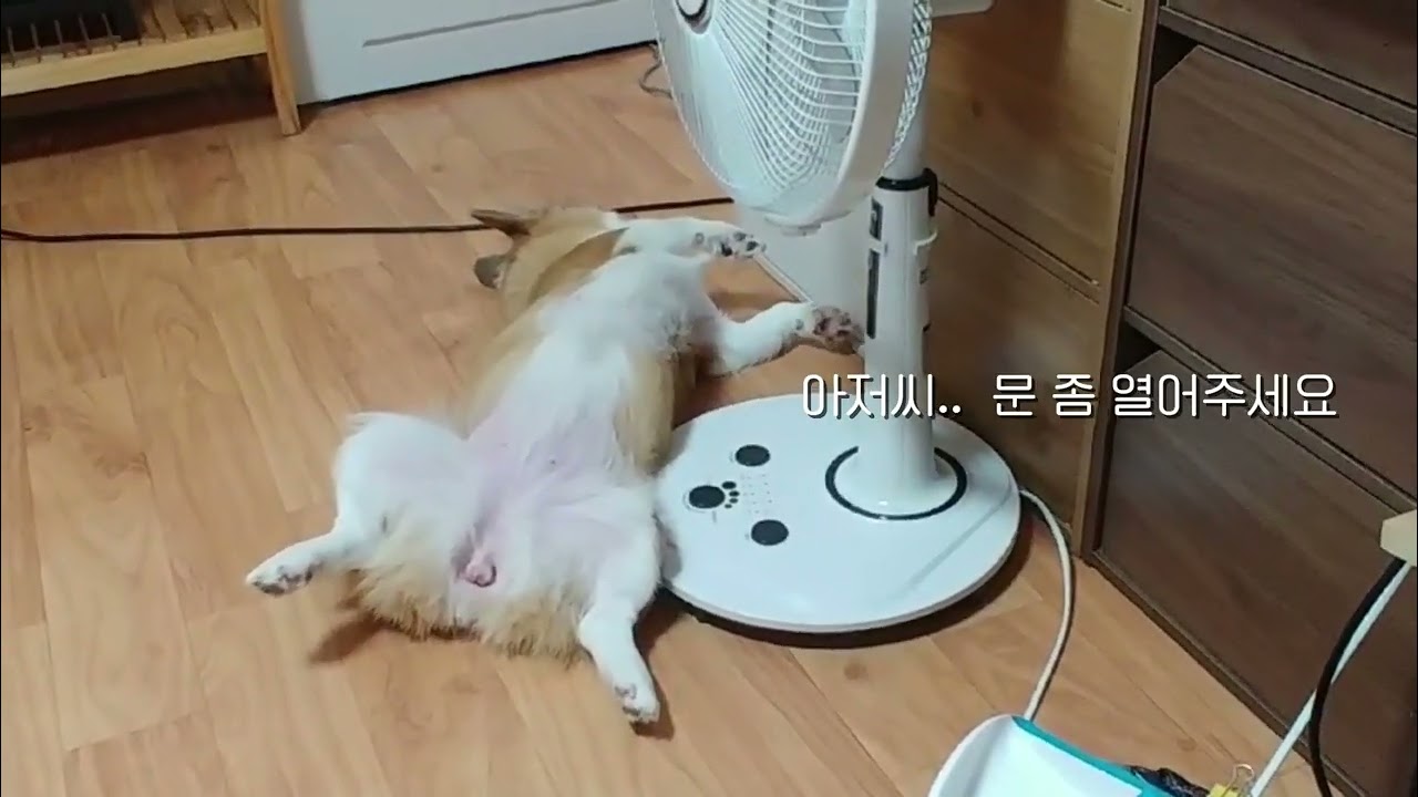 아저씨 문 좀 열어주세요 낰낰