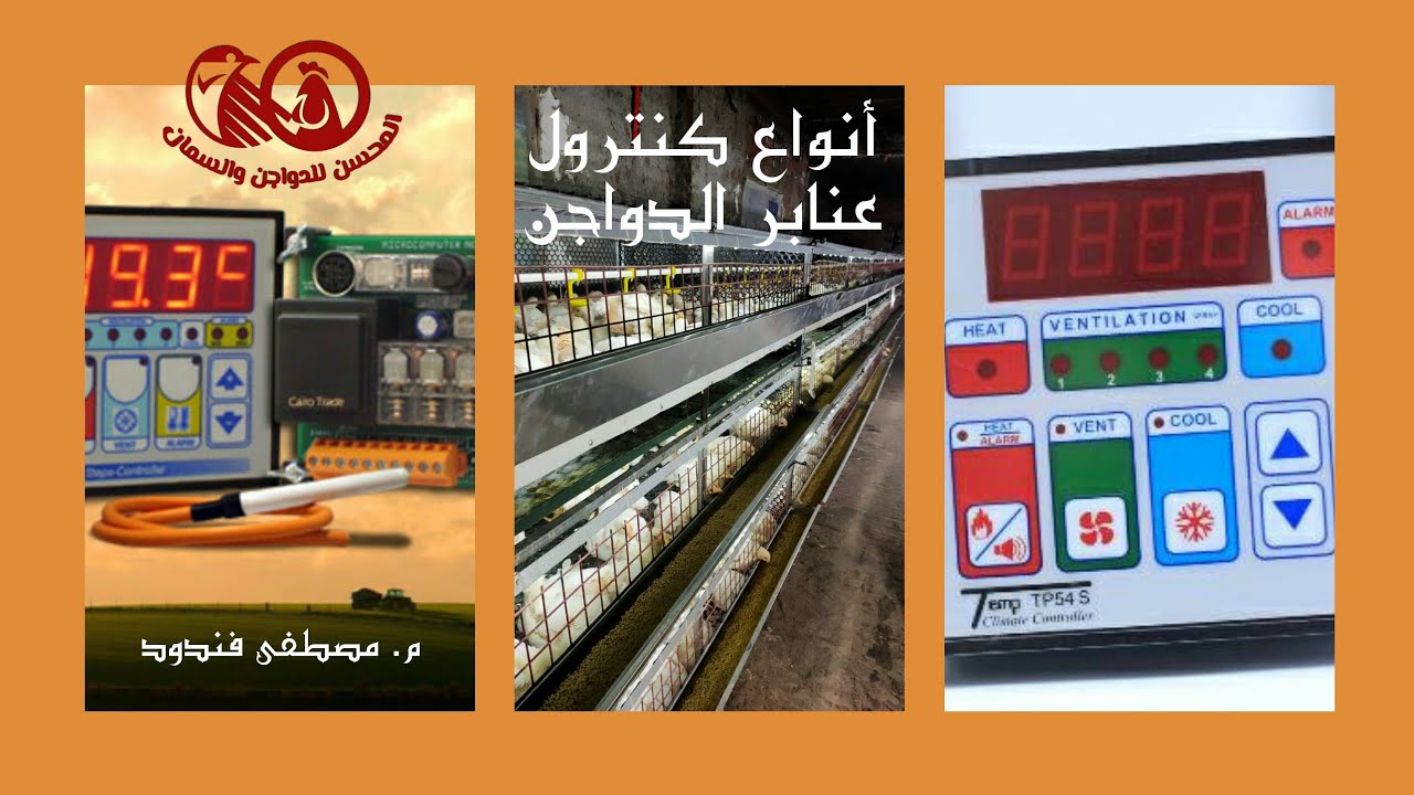 إحذر قبل الشراء ما هي أنواع كنترولات العنابر وما الفرق وكيف تربي الدواجن بإحترافية مع م. مصطفى فندود