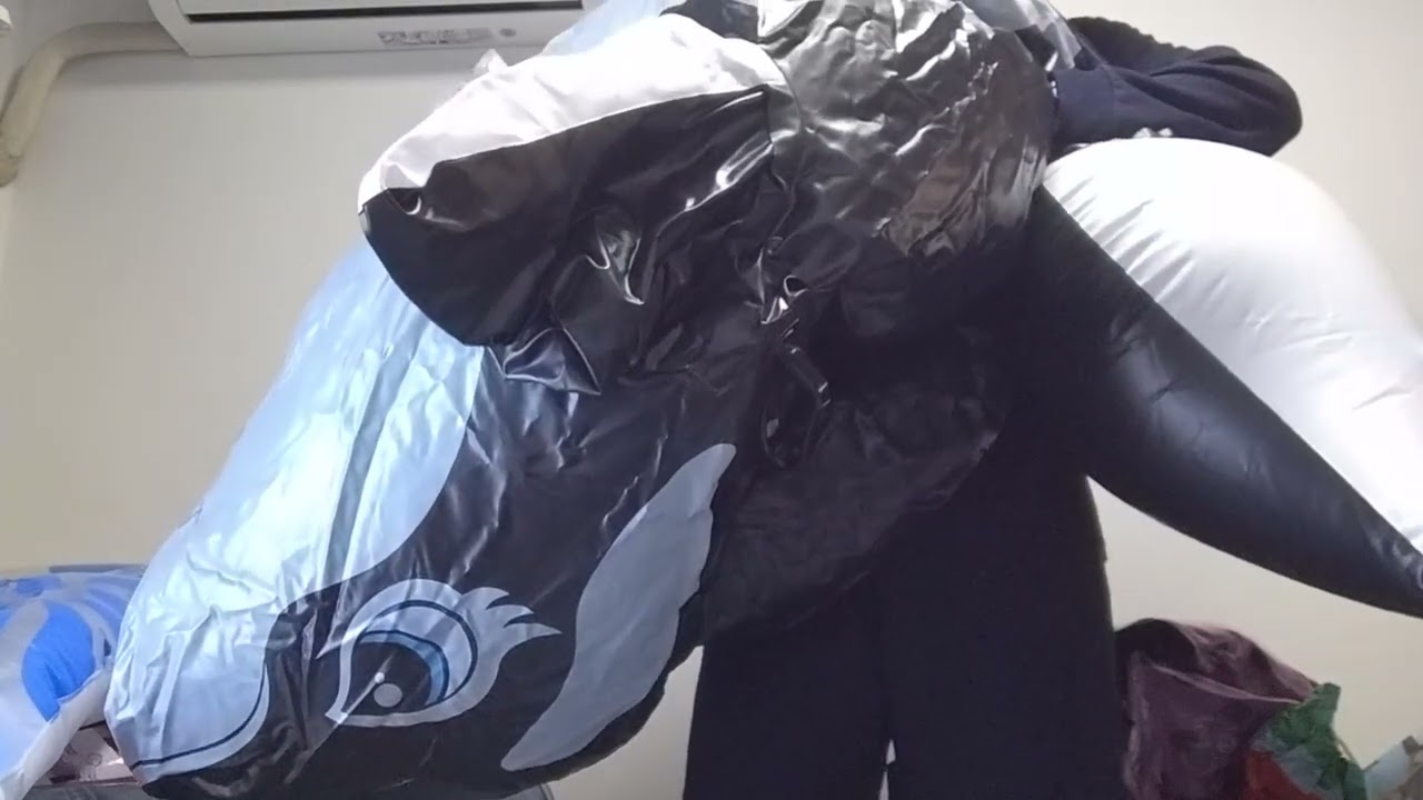 INTEXシャチフロート　膨らまし　blow up orca pool float by mouth