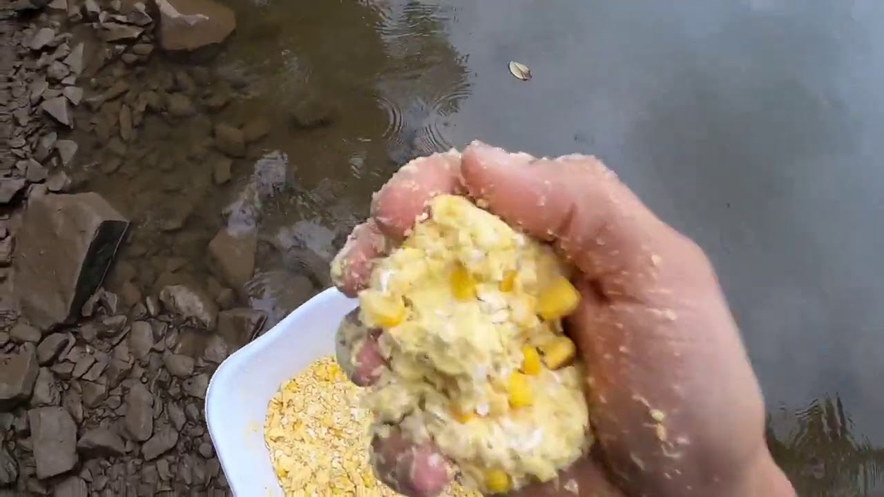 MASSA PARA PESCAR CARPA 100% EFETIVA!! novo ingrediente