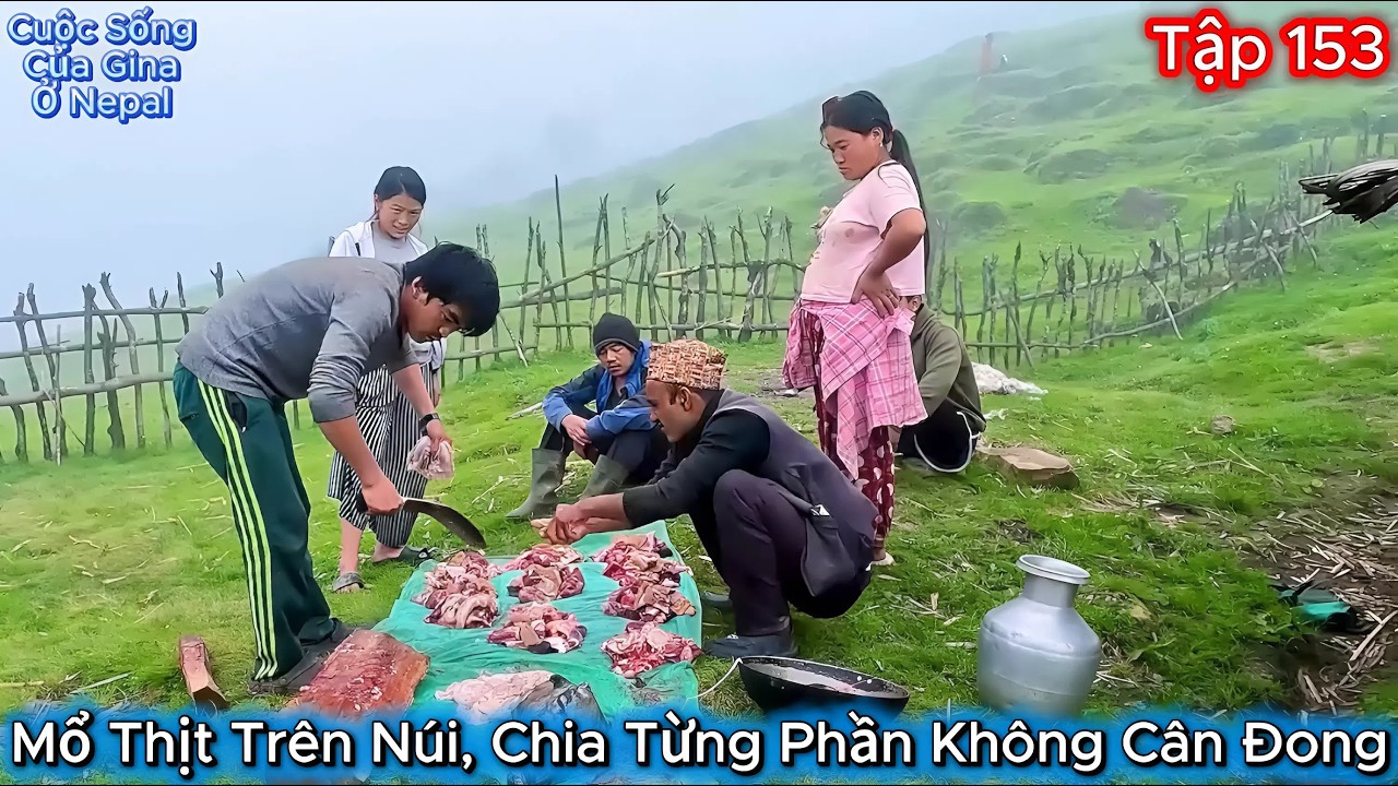 GINA Tập 153 - Cuộc Sống Trên Núi: Gina Và Những Ngày Tháng Yên Bình