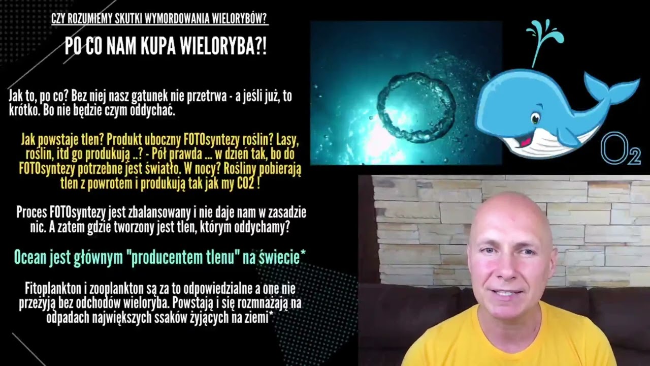 Po co nam kupa wieloryba? I czy kaskada troficzna zniszczy życie na ziemi?