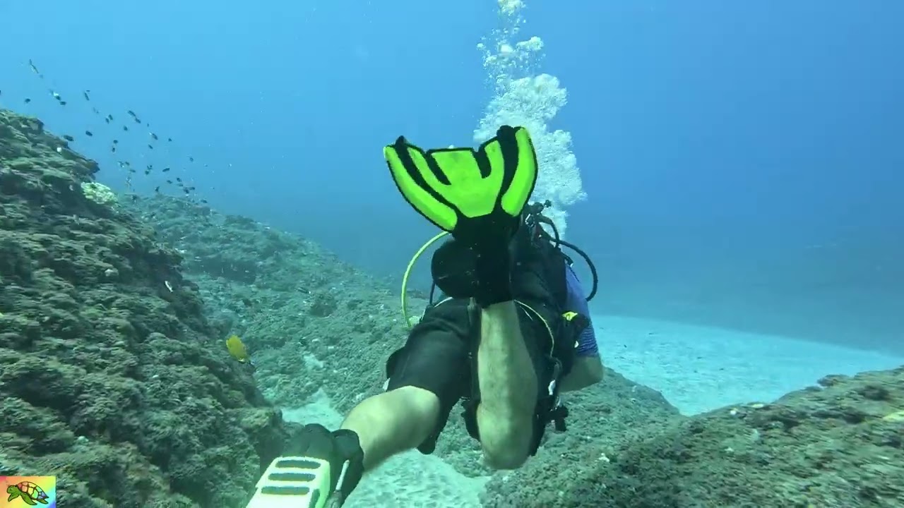 Le DODO au Cap Homar