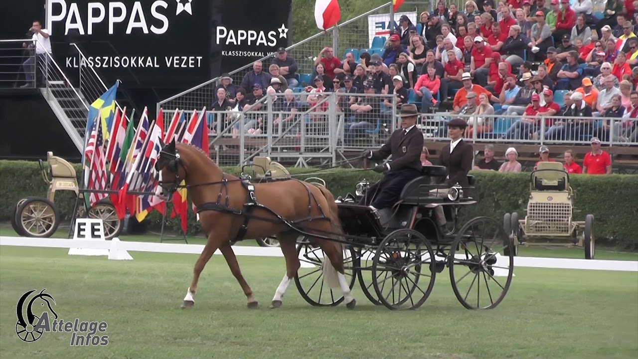 Fabian GANSHIRT   Ger   Dressage   FEI DPWC KISBER 2019