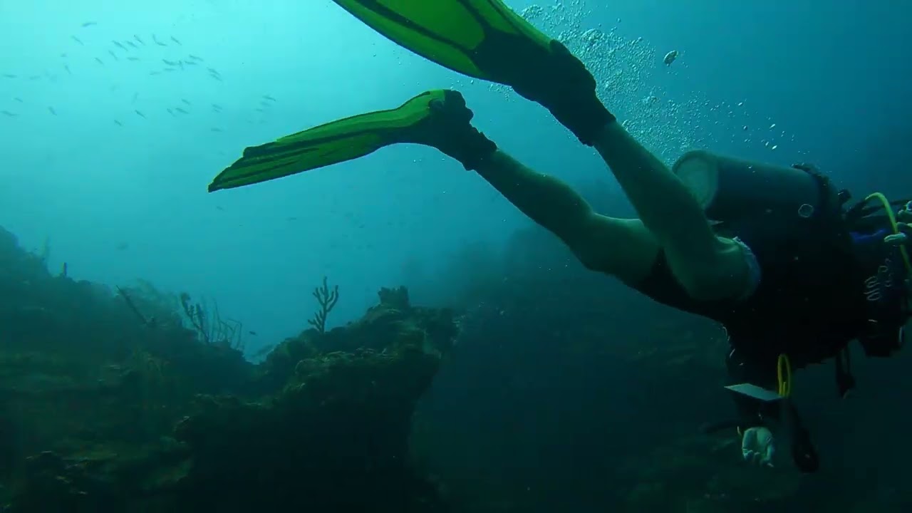 Roatan vid 1