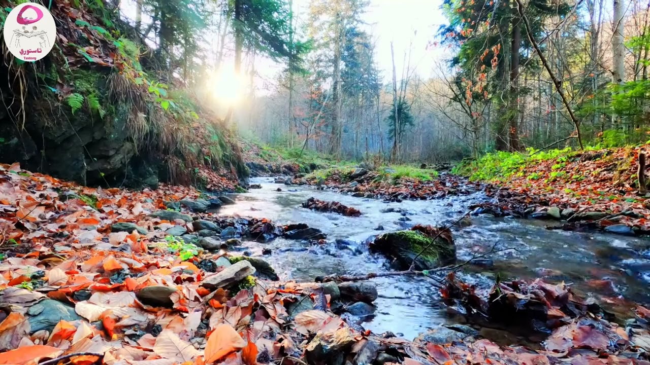 آباء من قعر الجحيم !! قصة حقيقية أب يجبر ابنته على البغاء والاخر يجبر ابنه على الان...حار