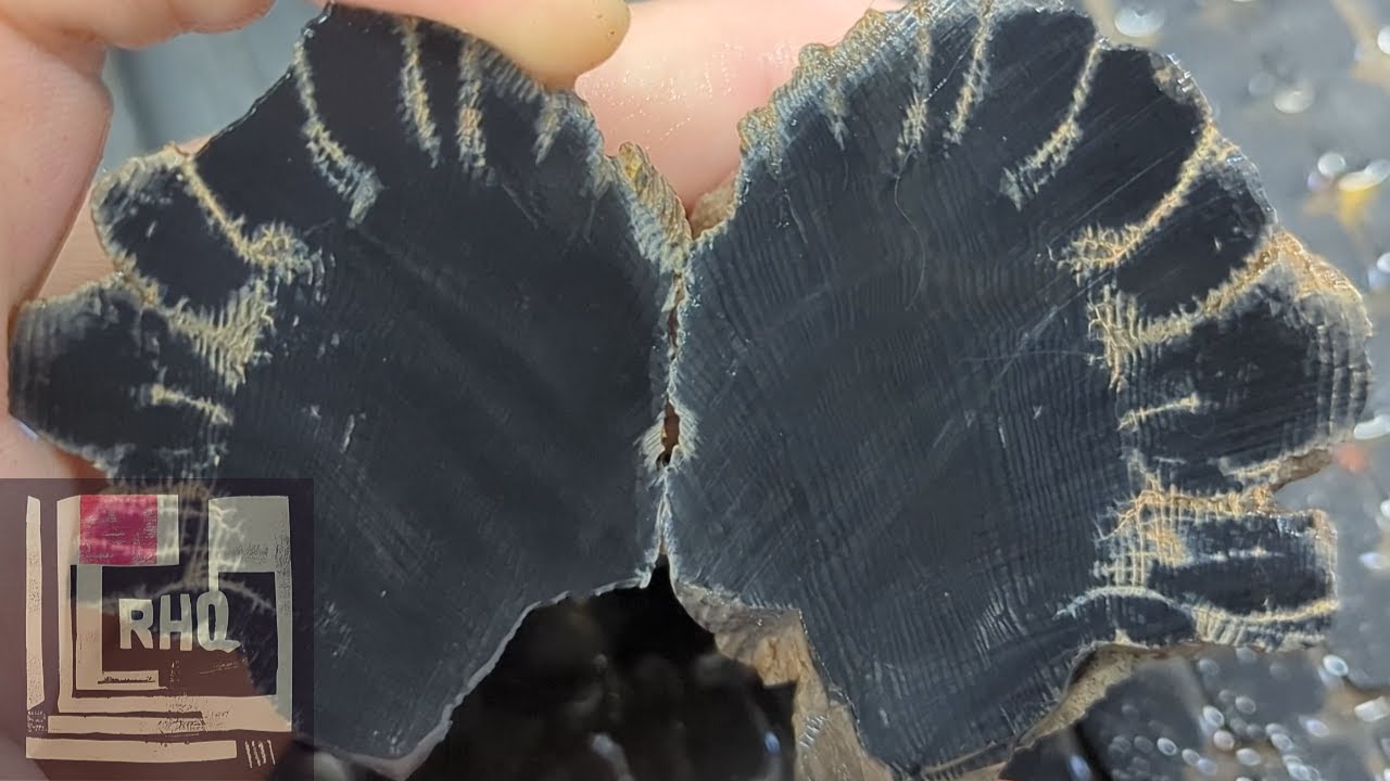 RHQ Rockhound Quest | Rockhounding Oregon