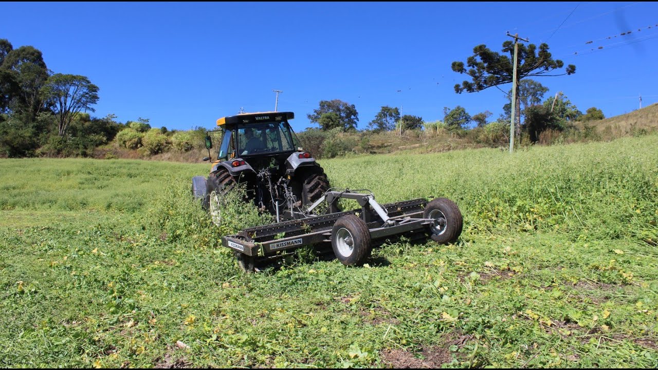 Rolo Faca 4 metros sendo utilizado no nabo em Benjamin Constant do Sul-RS.