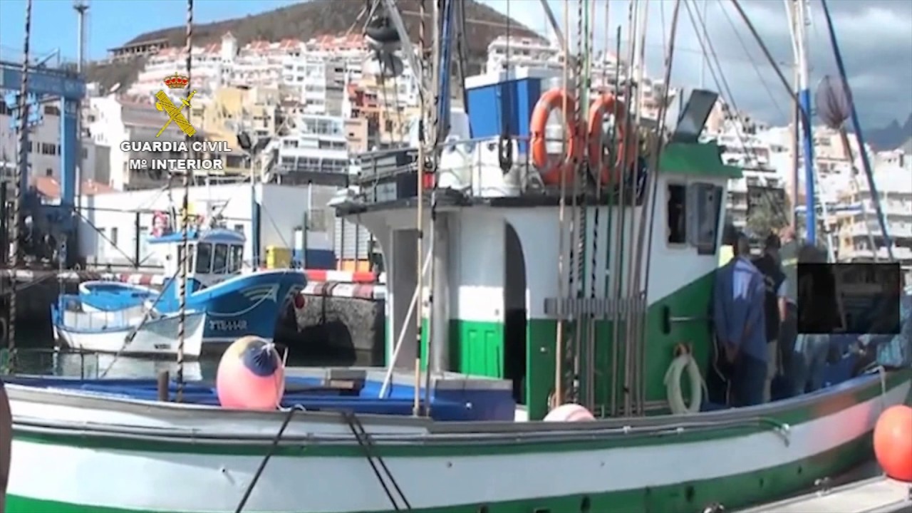 Operación Teneguía. Operaciones de la Guardia Civil. Tenerife