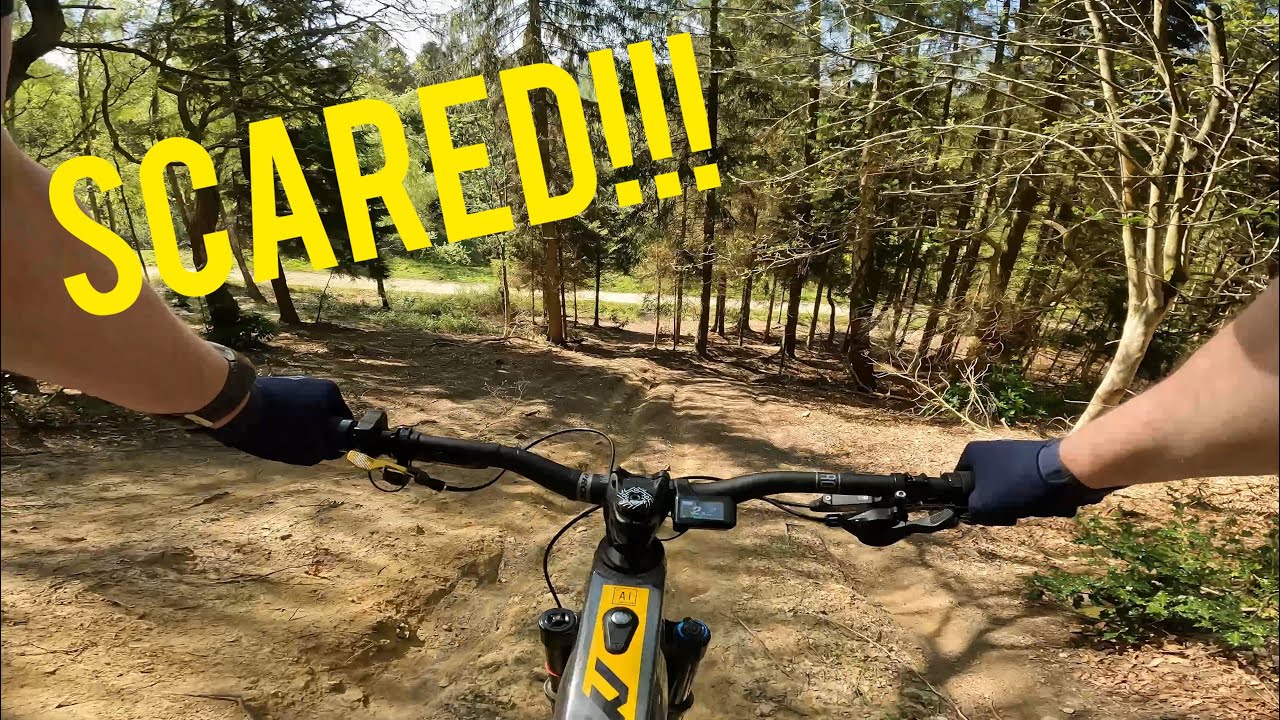 What a day!!! MTB @ Yearsley Woods
