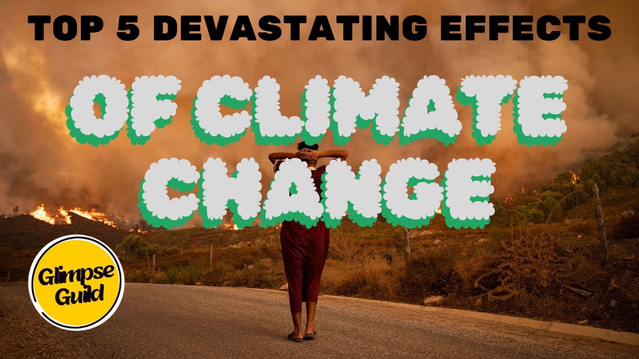 Top 5 Devastating Effects of Climate Change: A Wake Up Call