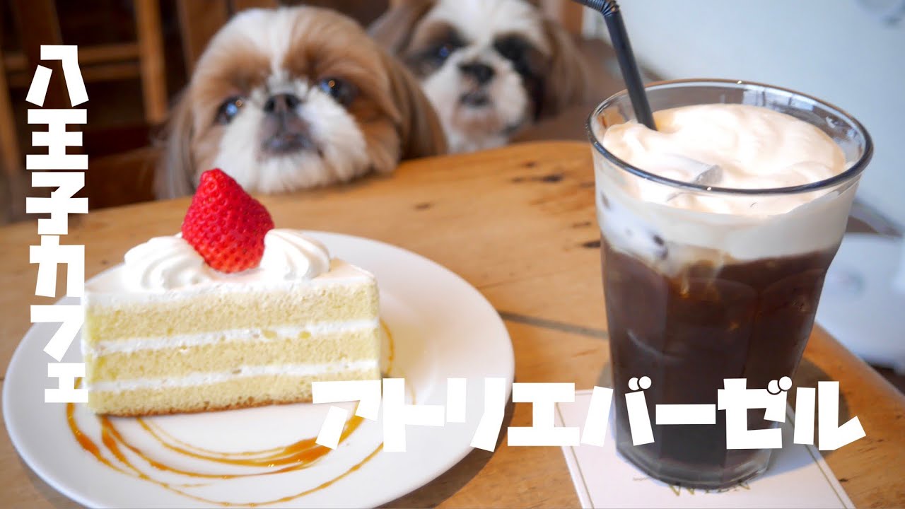 【犬連れカフェ】八王子の有名洋菓子店アトリエバーゼル