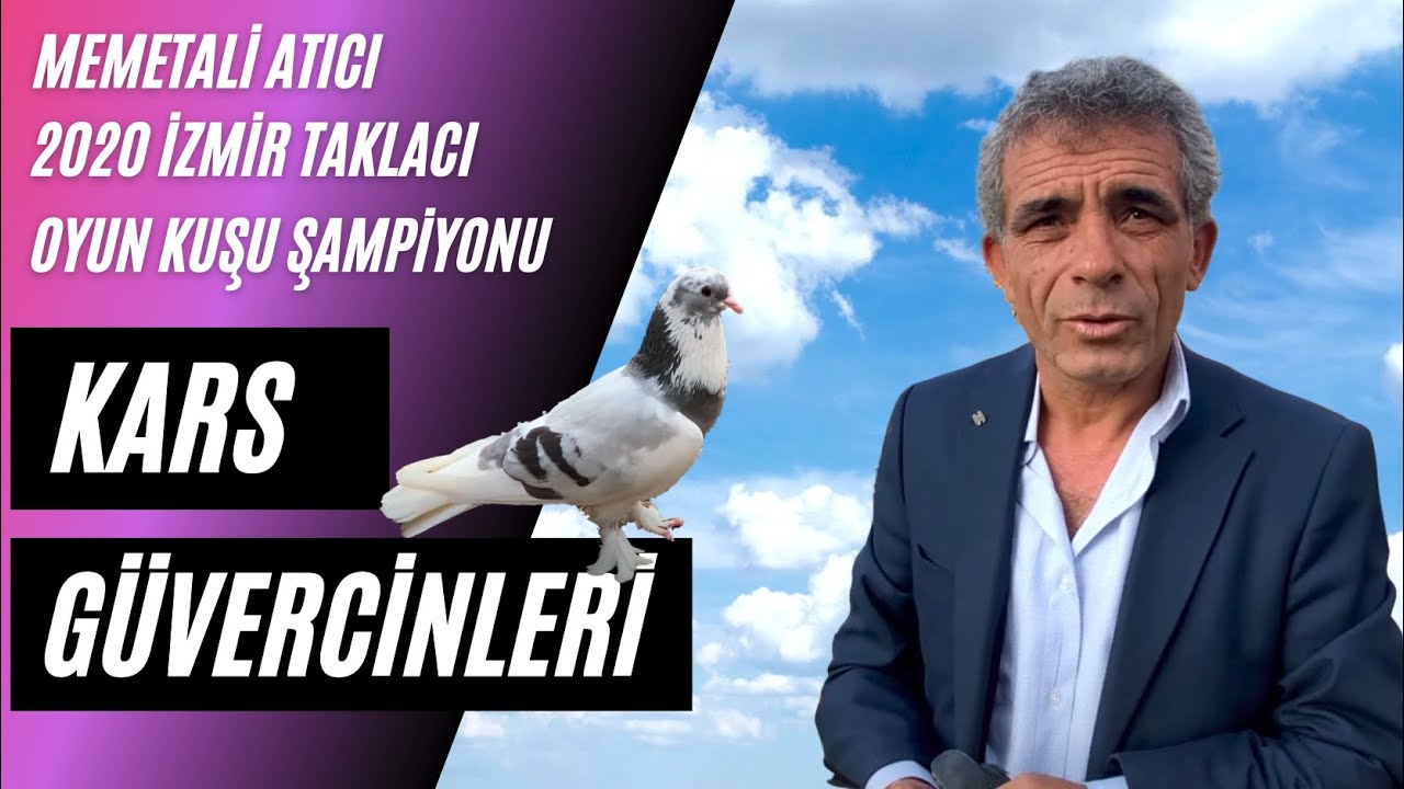 Taklacı Güvercin Sohbeti Memetali Atıcı (2020 Oyun Kuşu Şampiyonu)