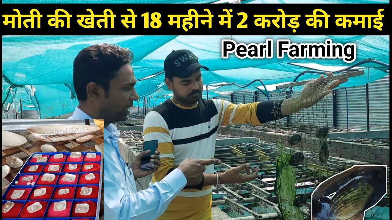 Pearl Farming in India at Home | Moti Palan| Moti ki Kheti | मोती की खेती कैसे करें