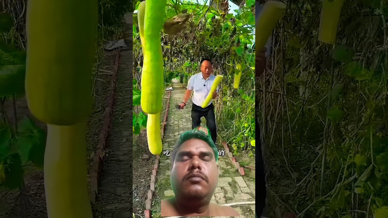 I see wonderful vegetables #shots #youtubeshorts