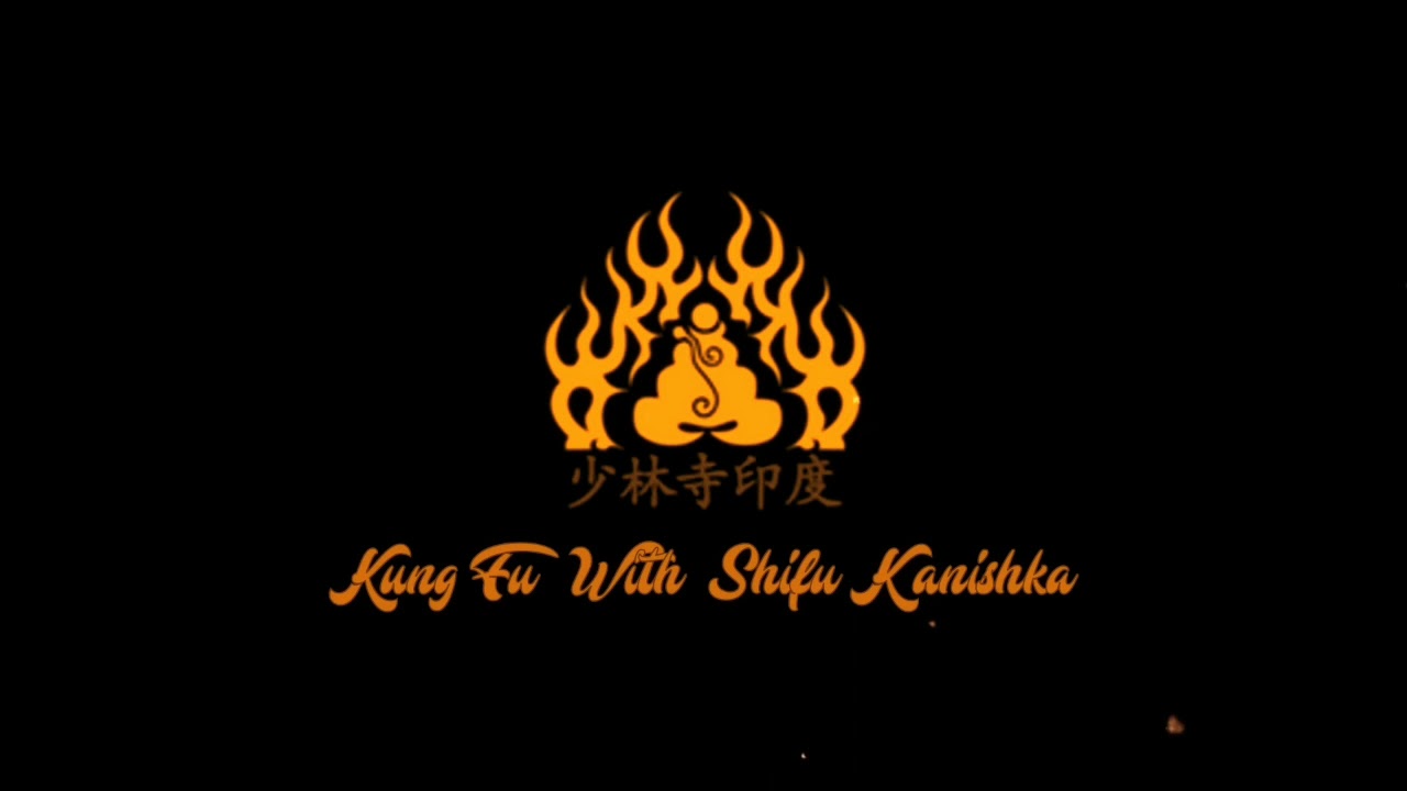 Shaolin Tong Bei Quan- Shifu Kanishka Kolkata Seminar