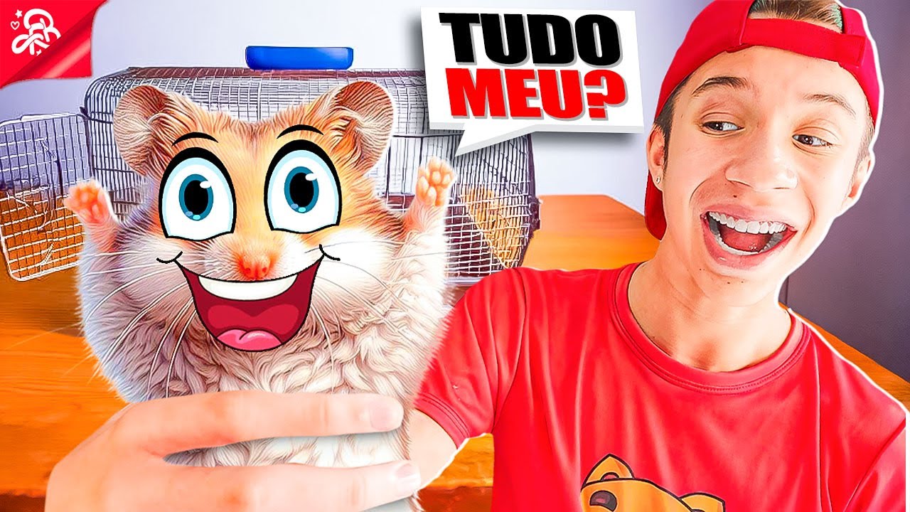 SOLTAMOS AS HAMSTERS E ELAS FICARAM MUITO FELIZES NA NOVA CASA