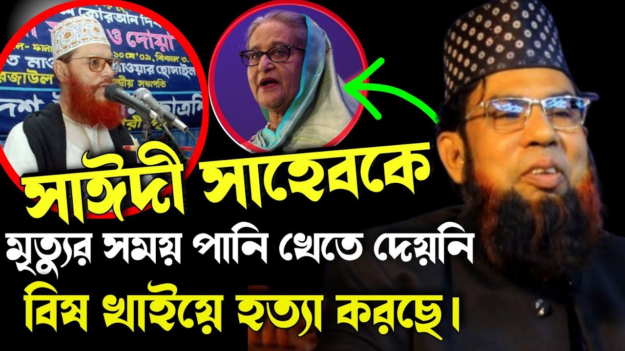 নির্বাচনের গরম ওয়াজ । সাঈদী সাহেবকে মৃ/ত্যু/র সময় পানি খেতে দেয়নি। বিষ খাইয়ে হ/ত্যা করেছে 