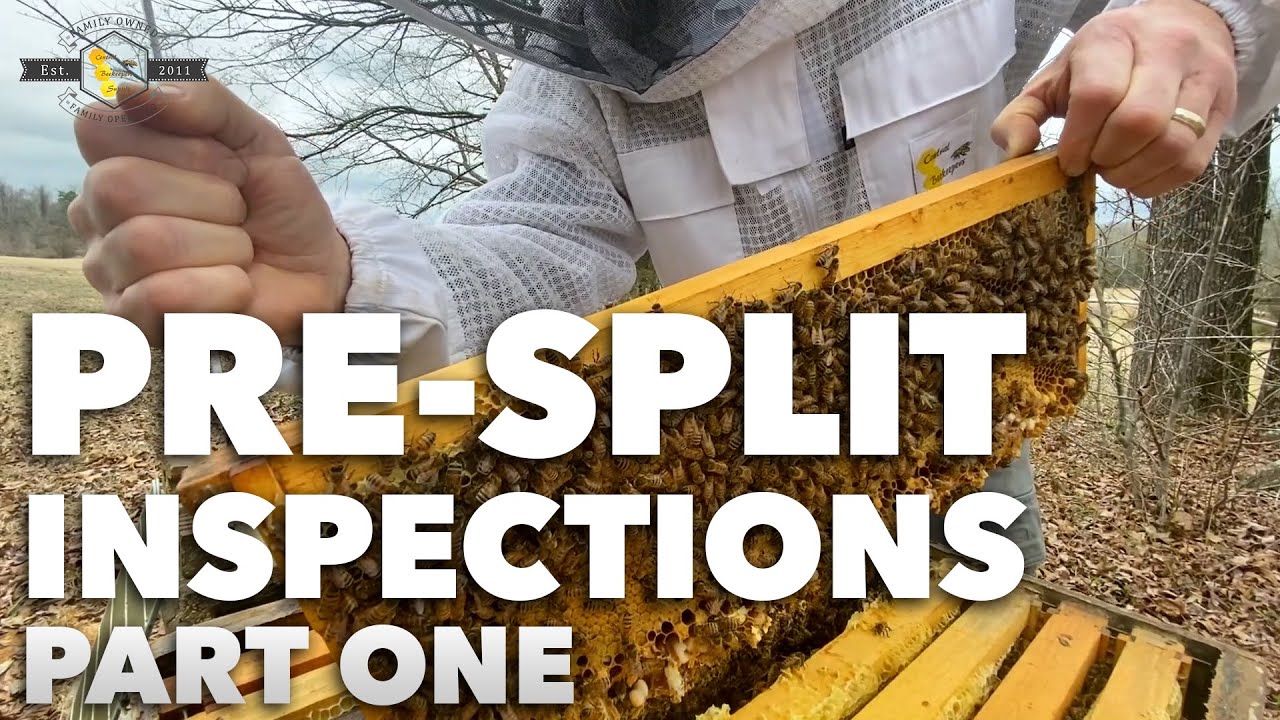 Pre-Split Inspection - 