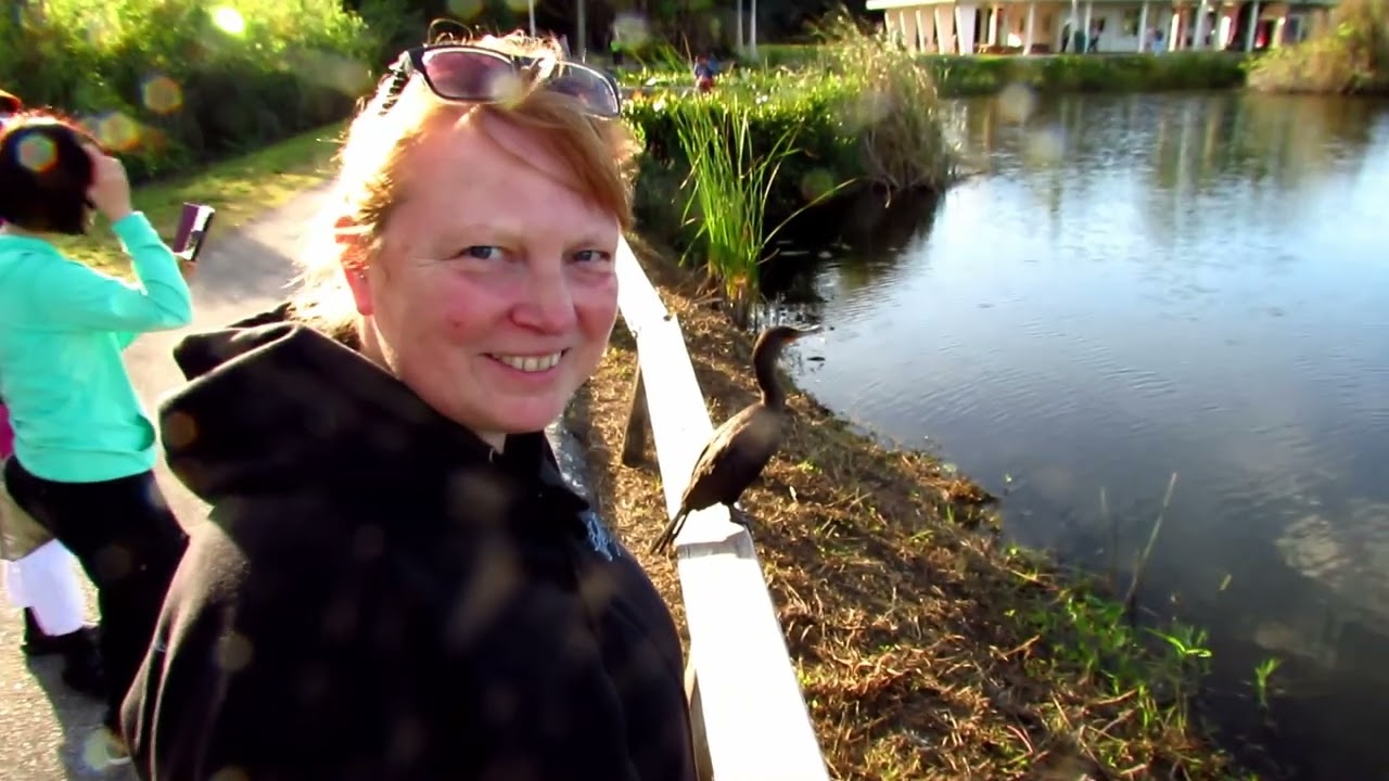 Everglades - Flamingo & Anhinga Trail 2015