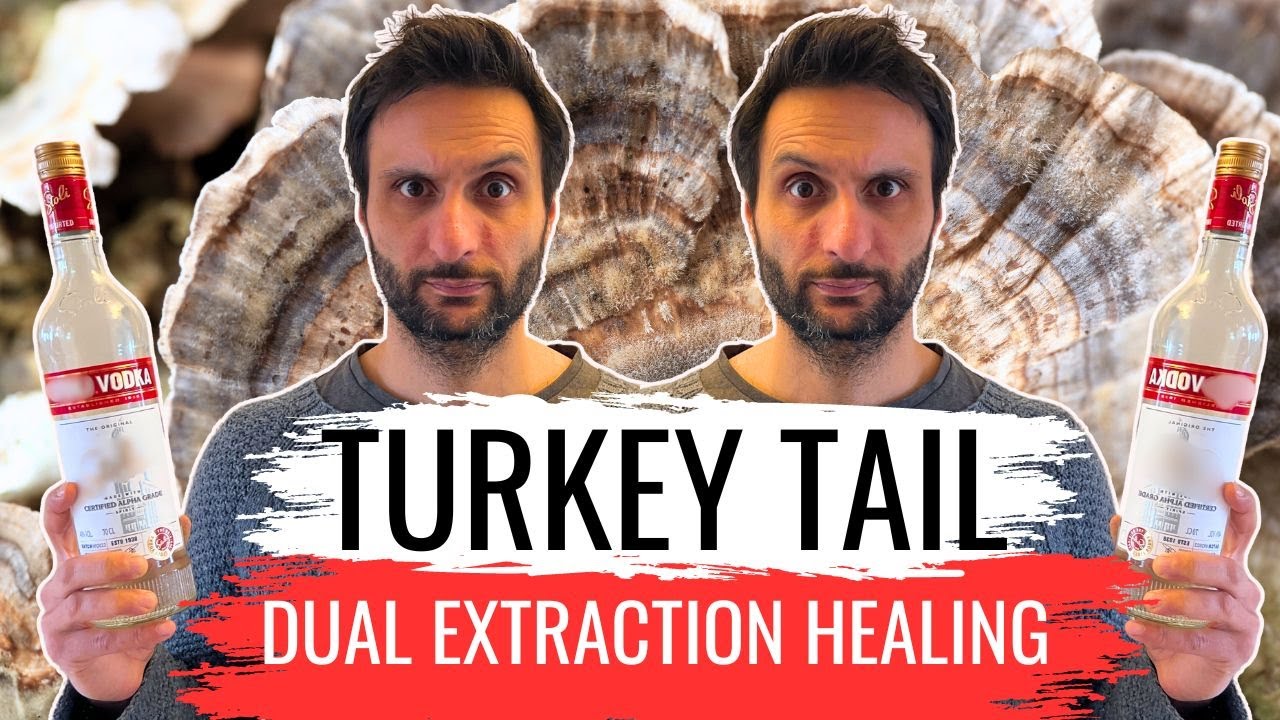 Turkey Tail Tincture - BOOST Your Immunity This Fall