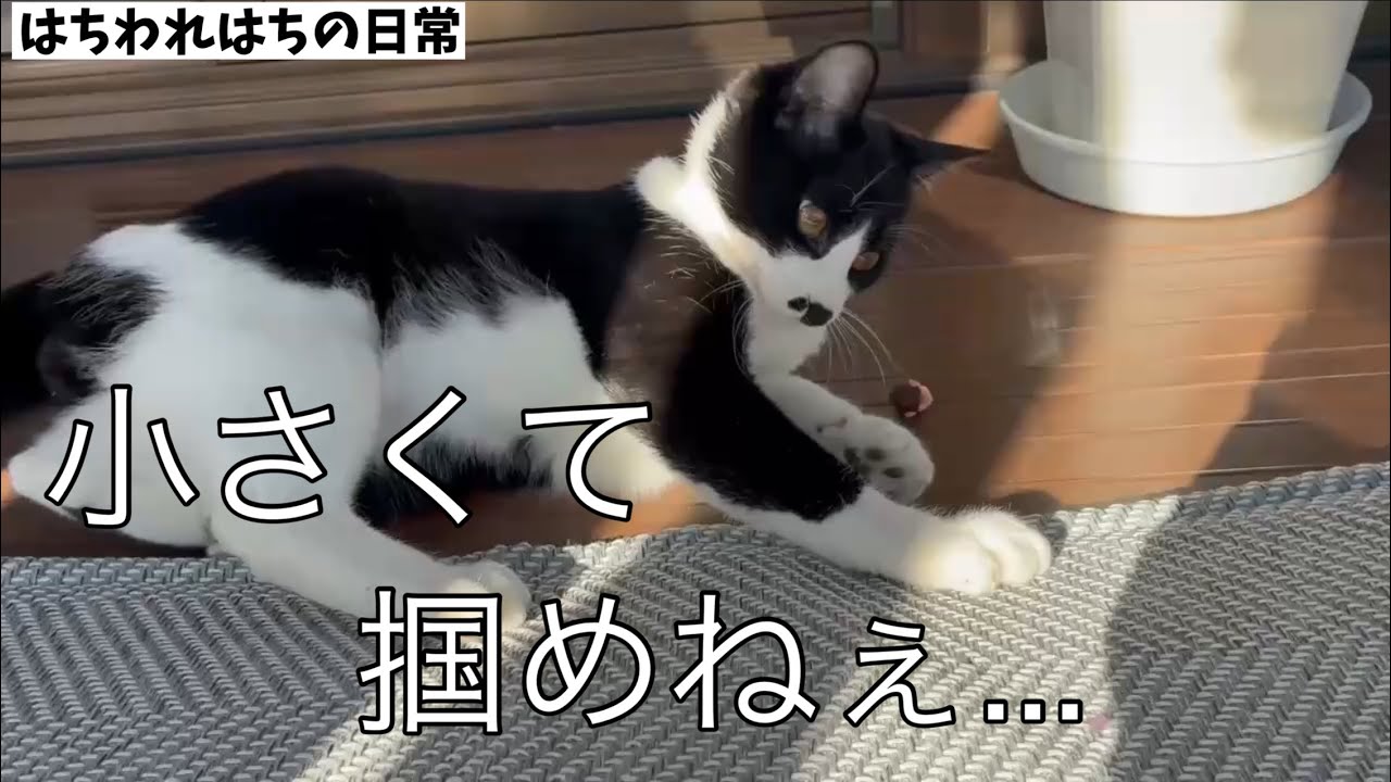 無意識にコロコロしてしまう