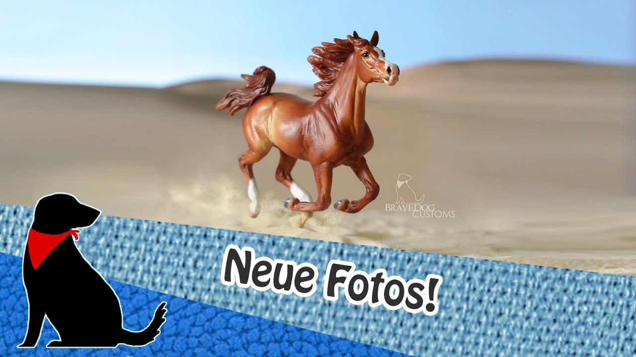 📷🐎NEUE Fotos!🐴📷  April 2019 Januar 2020