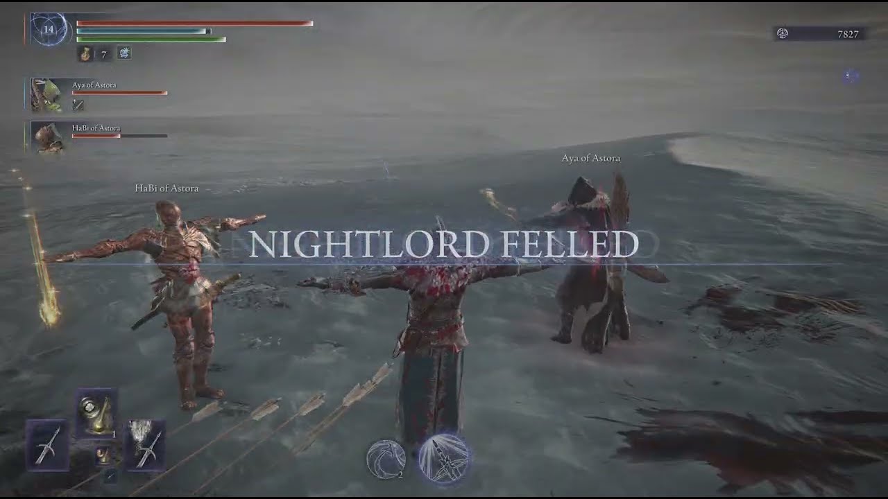 Clean Libra Fight