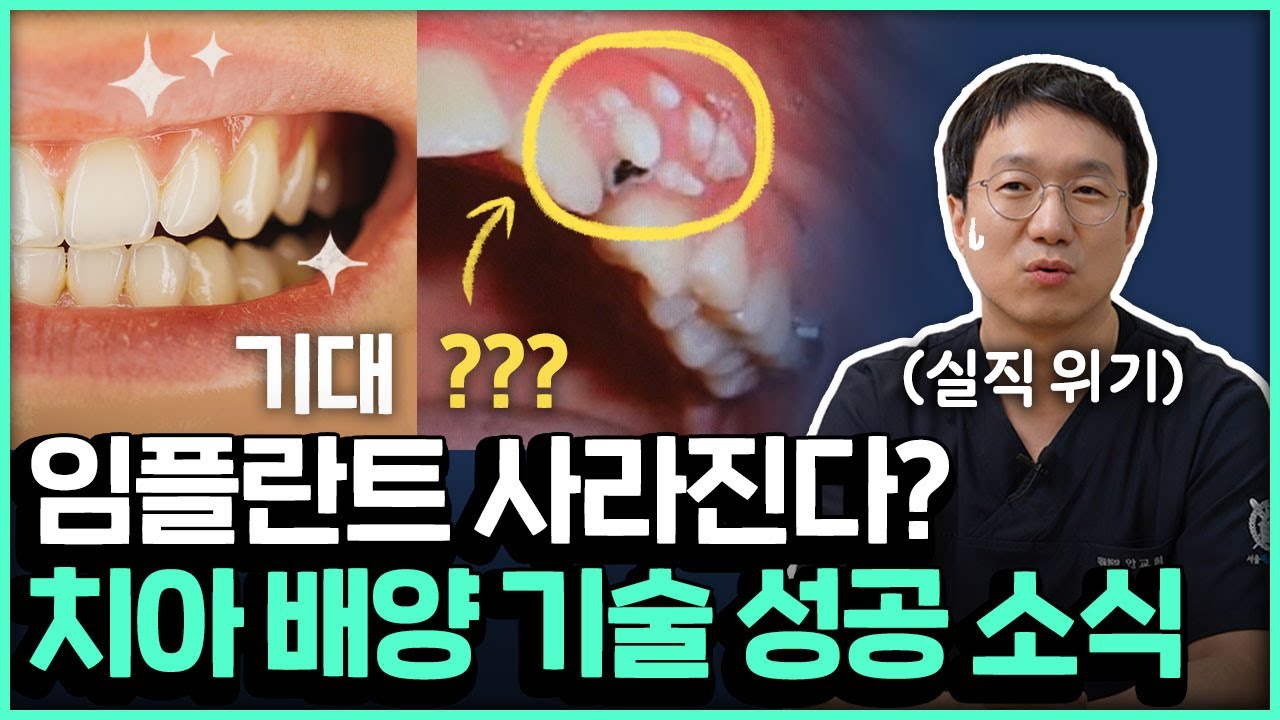 임플란트 하지 말고 조금만 더 기다리세요? 인간 치아 재생 성공 가능성