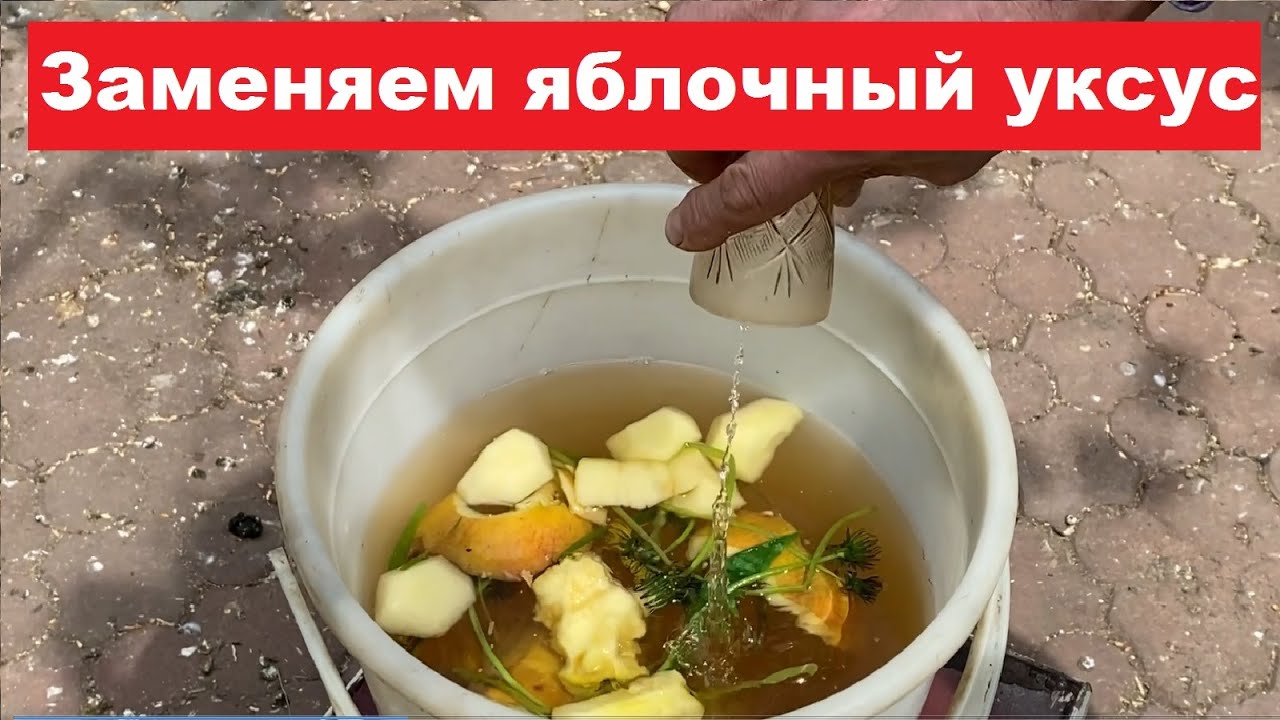 Чтобы заменить яблочный уксус нужно... Набор кислот и витаминов. Выводим голубят, выводной сезон.