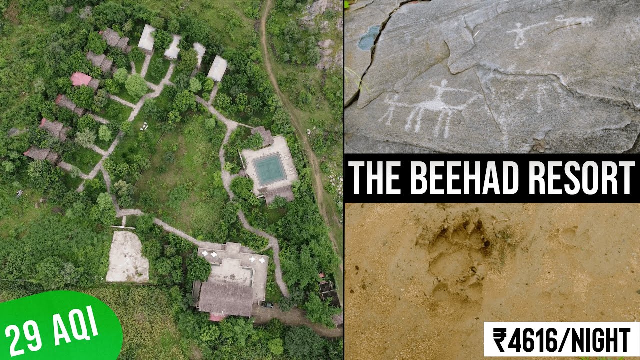 My 5 Days Experience at The Beehad Resort, Sariska | 4hr Drive From Delhi