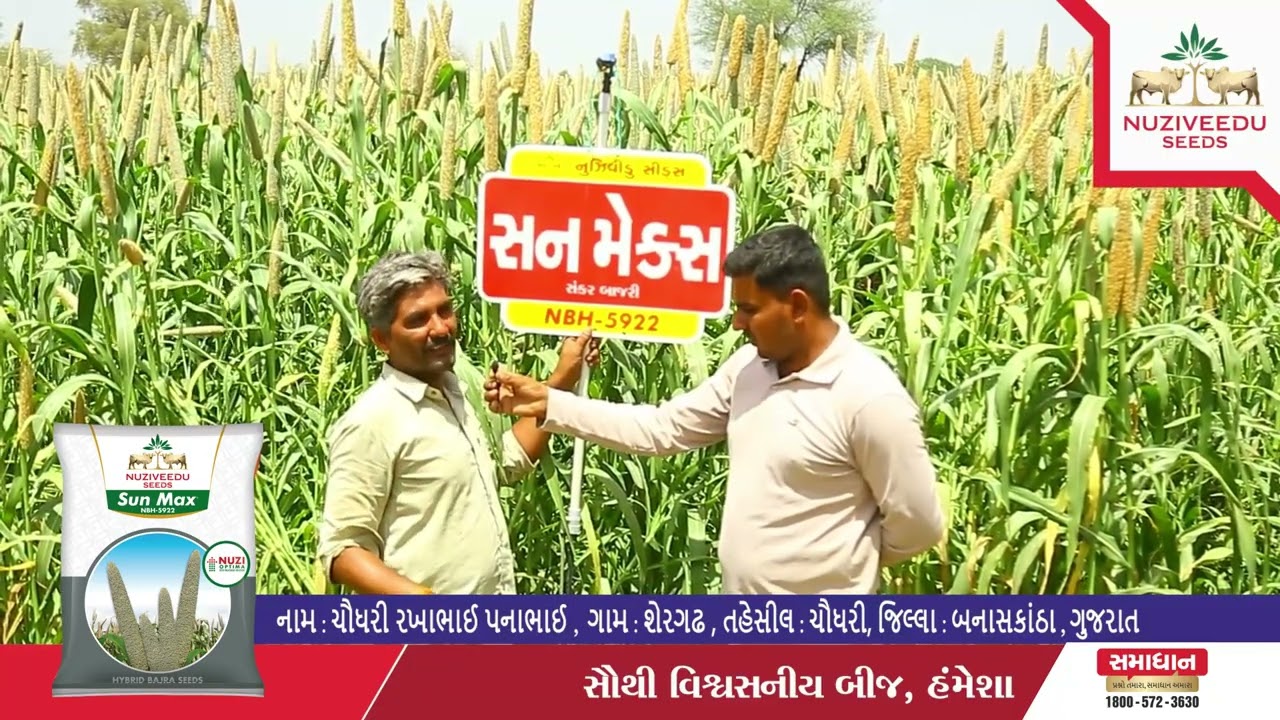 સન મેક્સ - ખેડૂતનો અનુભવ | Gujarati Farmer Testimonial 15 | Chowdhury Rakhabhai Panabhai - Millet