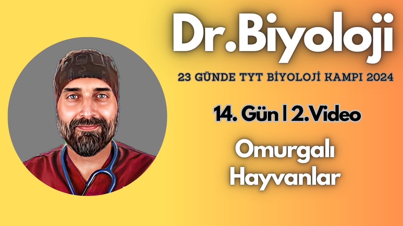 Omurgalı Hayvanlar | 23 Günde TYT Biyoloji Kampı yks2024 | 9. Sınıf