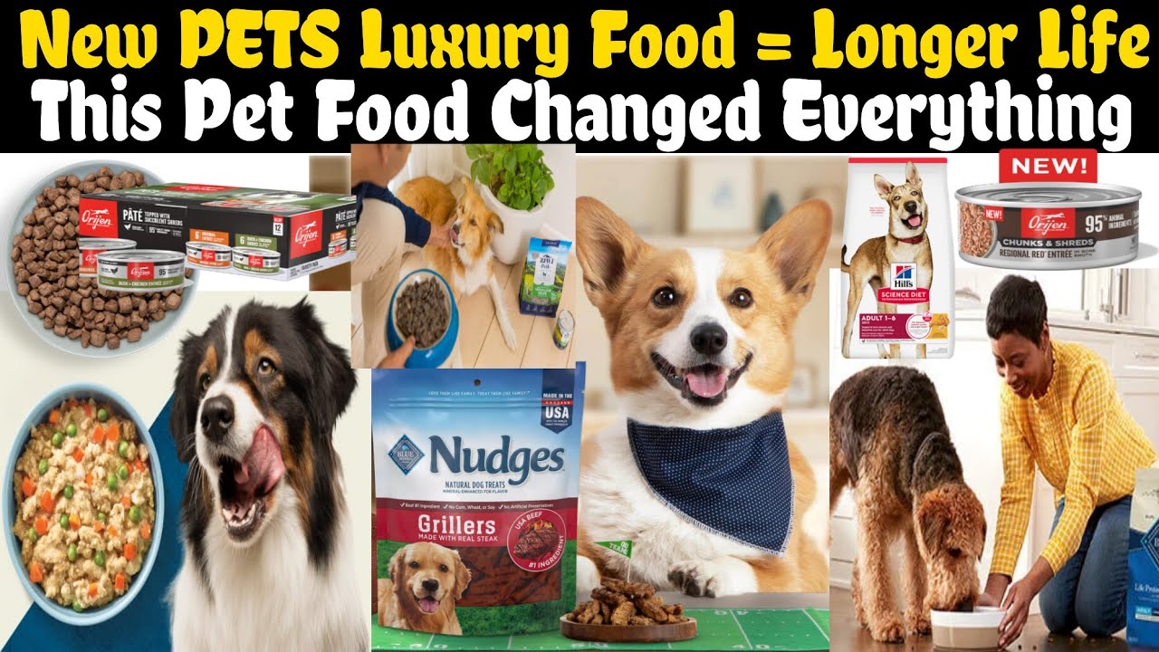 New PETS Food Brands in the World That Are Changing your Lovely Pet Lives Forever 🐾