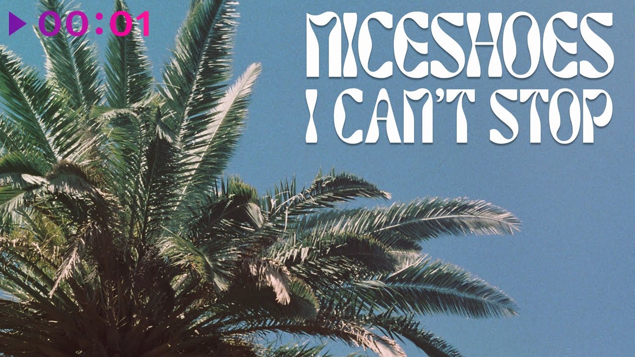 Niceshoes - I Can't Stop | Official Audio | 2024