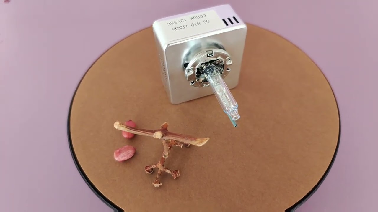 Chinese manufacturer,hid xenon d4s bulb,xenon hid bulbs d1s,d4s hid xenon bulb,e39 xenon bulb,