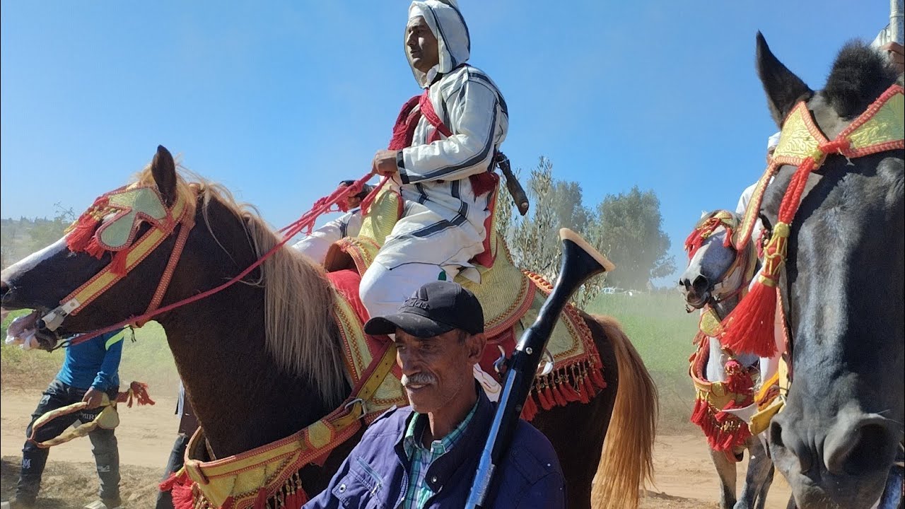  مهرجان سيدي علال لمسدر مع دريس موزون بتاريخ 8/11/2025