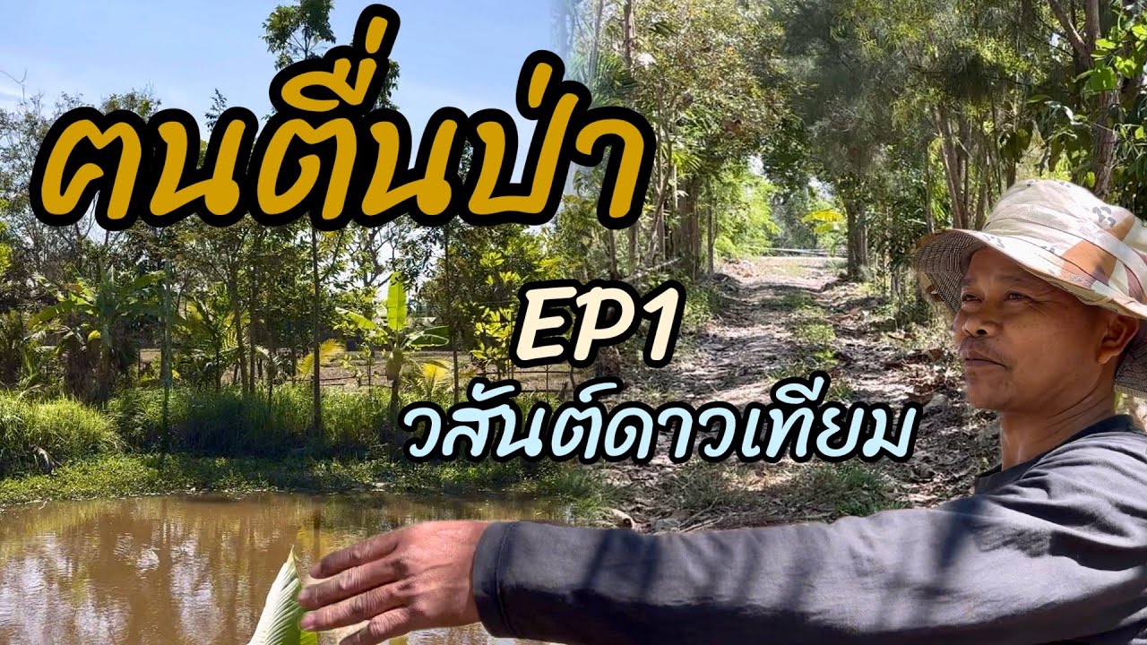 วสันต์-ฅนตื่นป่า EP1