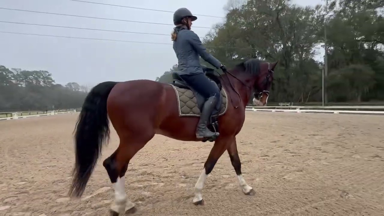 Yo-Yo Changes Part 2 (Few weeks later)