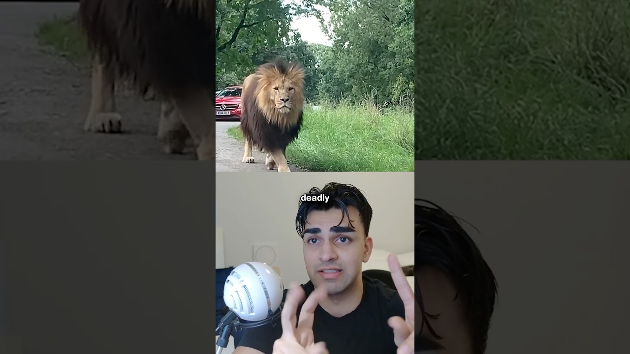 Какая страна самая безопасная в мире? 🤔