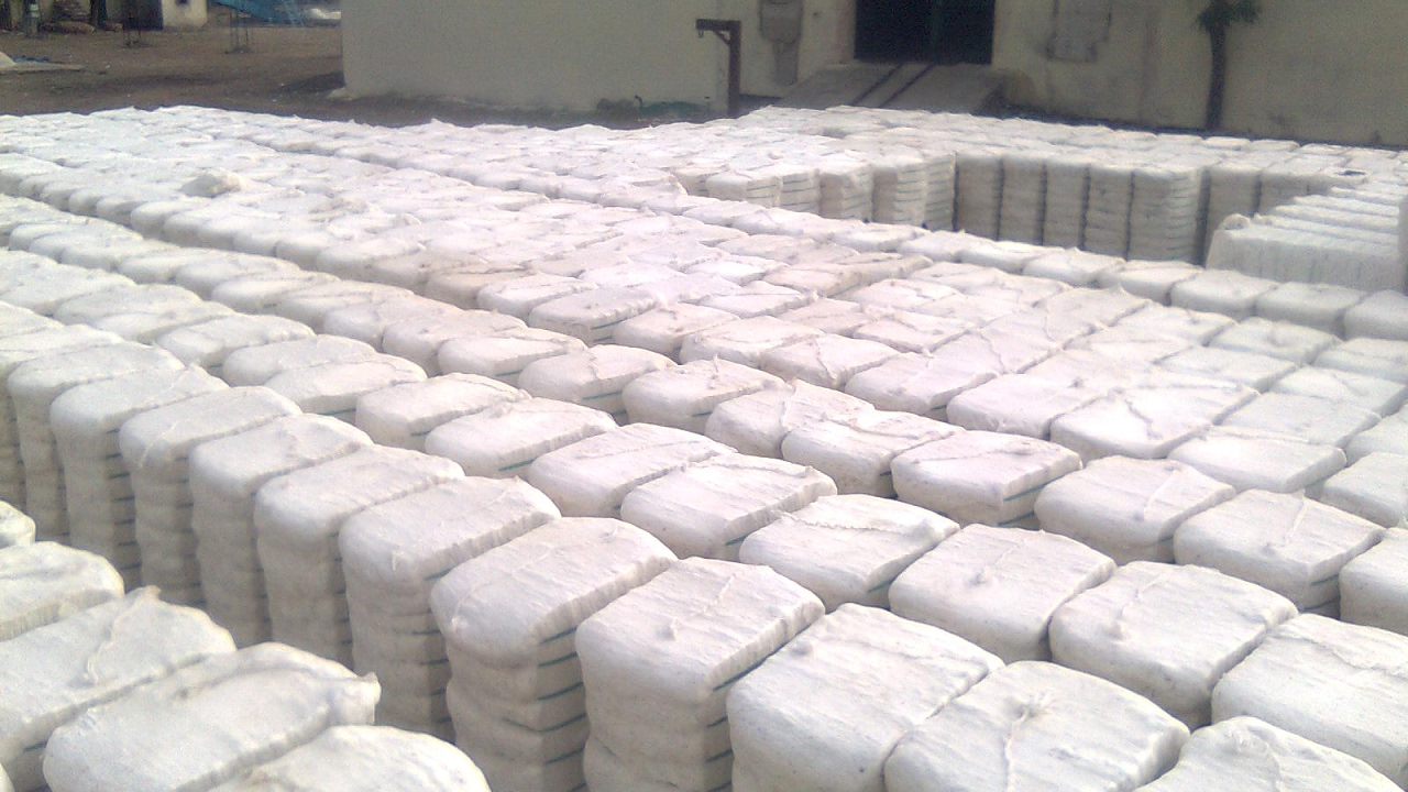 Cotton ginning कैसे कपास में से बीज अलग किये जाते हैl