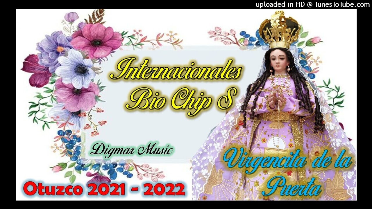 VIRGENCITA DE LA PUERTA - BIO CHIP S -