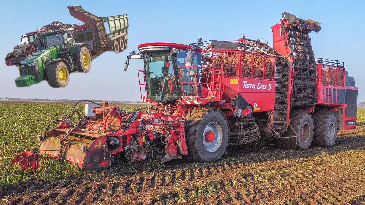 Nový Holmer Terra Dos T5-40 |Sklizeň cukrové řepy 2024 | John Deere 8345R + Hawe RUW 5000
