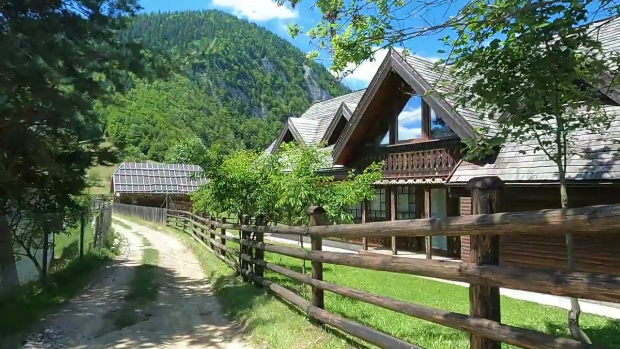 Plimbare de iulie la Magura.