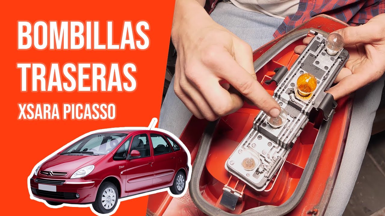 Cómo cambiar las bombillas traseras XSARA PICASSO 💡