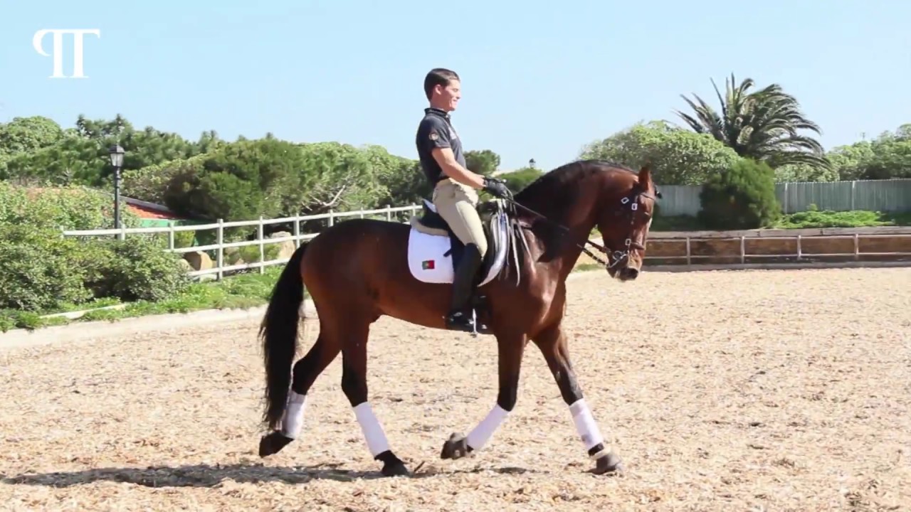 Faraon - Team Pedro Torres