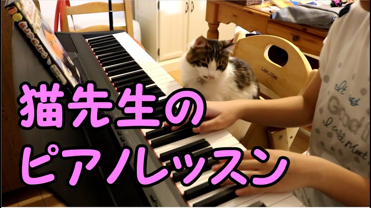 猫先生に演奏を確認してまらいました
