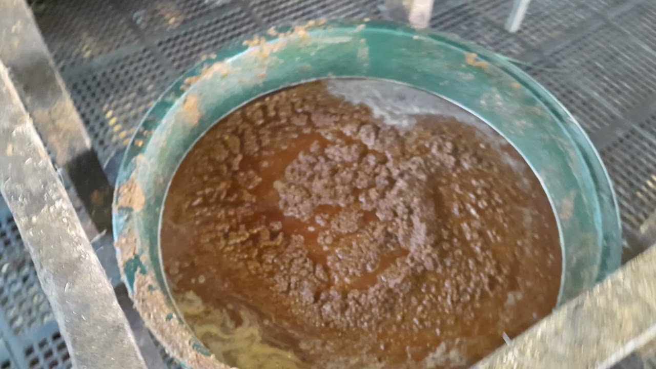 feed mixture para sa alagang kambing